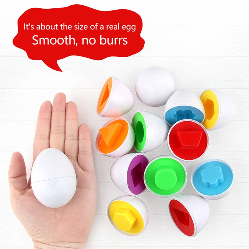 Montessori Œufs Éducatifs