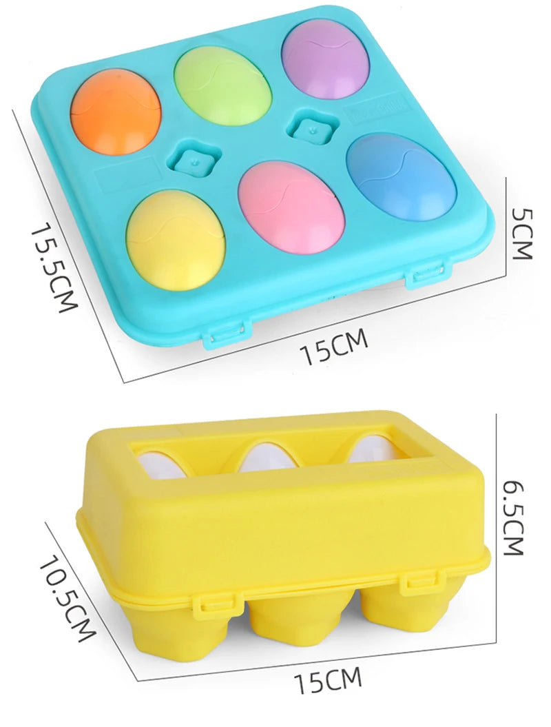 Montessori Œufs Éducatifs