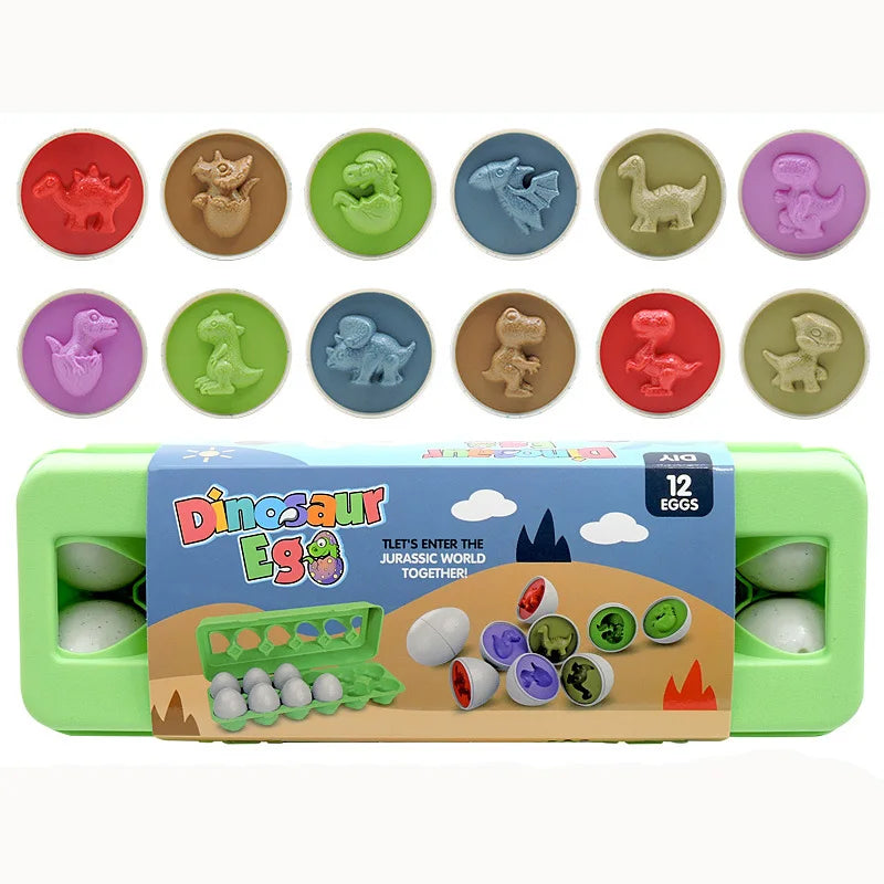 Montessori Œufs Éducatifs