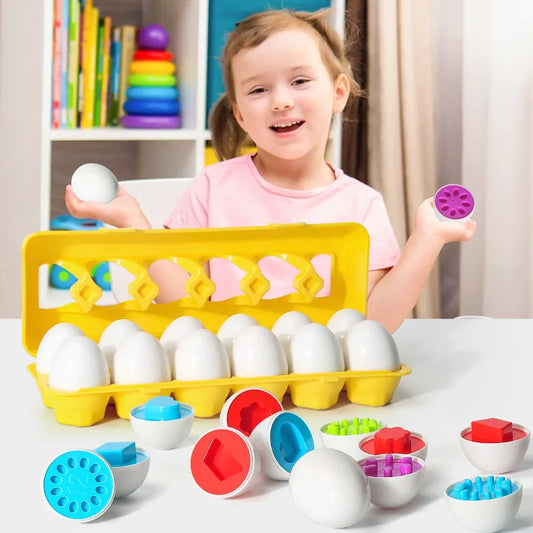 Montessori Œufs Éducatifs