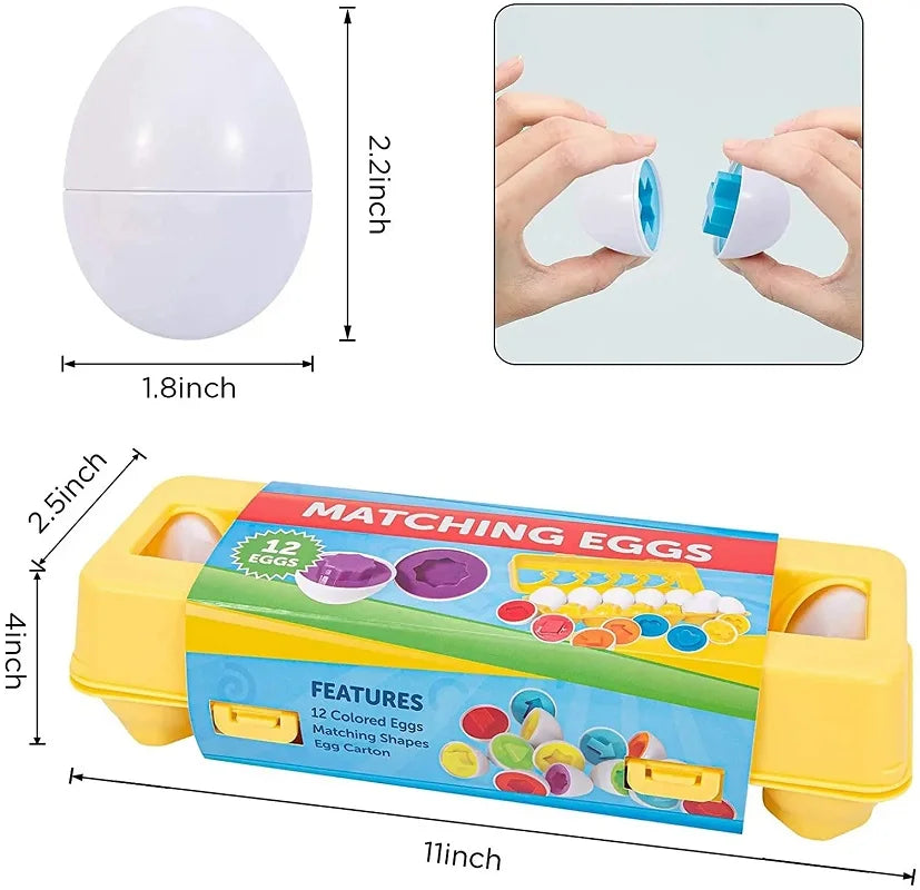 Montessori Œufs Éducatifs