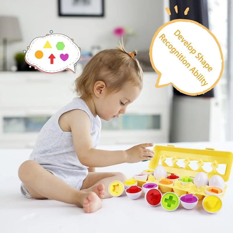 Montessori Œufs Éducatifs