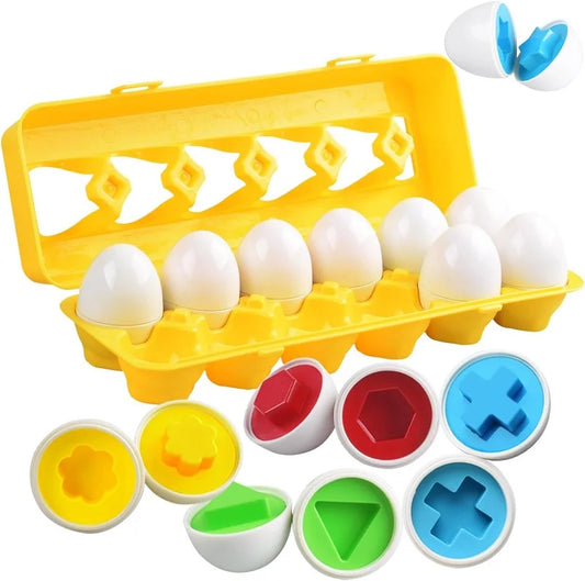 Montessori Œufs Éducatifs